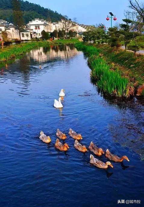 江苏最值得去的十个旅游地方,一到十二月江苏省小众旅游