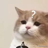 美容养生灌肤,美容灌肤正确方法步骤