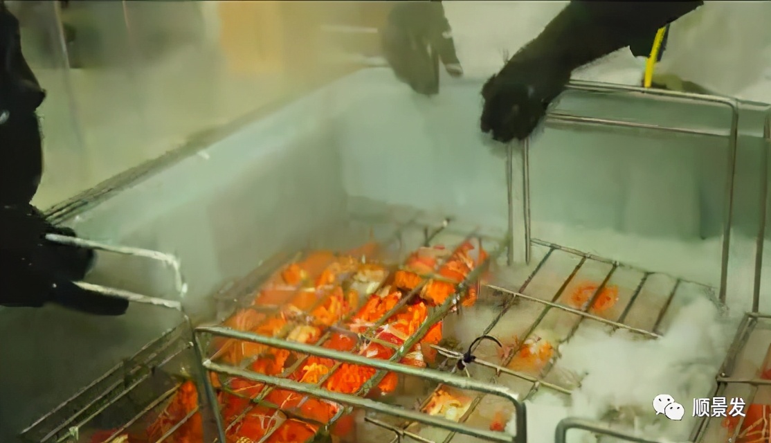 海鲜陆冻和船冻,冷冻海鲜进口知识大全