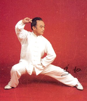 马虹太极完整视频,马虹太极拳借力