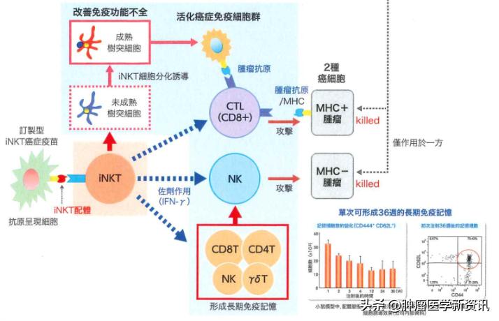 赴日治疗癌症,赴日本治疗癌症机构
