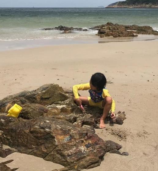 蔡少芬怀三胎知乎,蔡少芬怀三胎参加综艺节目