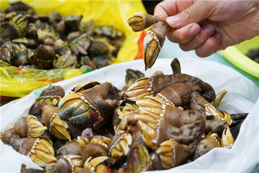浙江哪个的海岛海鲜便宜,中国哪个海边城市的海鲜最便宜了