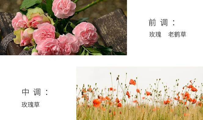 香水易错知识,香水解决问题