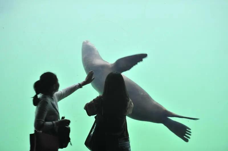 大连四星级景区现状,大连景区什么时候恢复开放