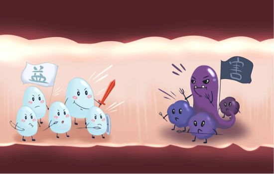 益生菌买什么样的效果好,益生菌好不好主要看什么