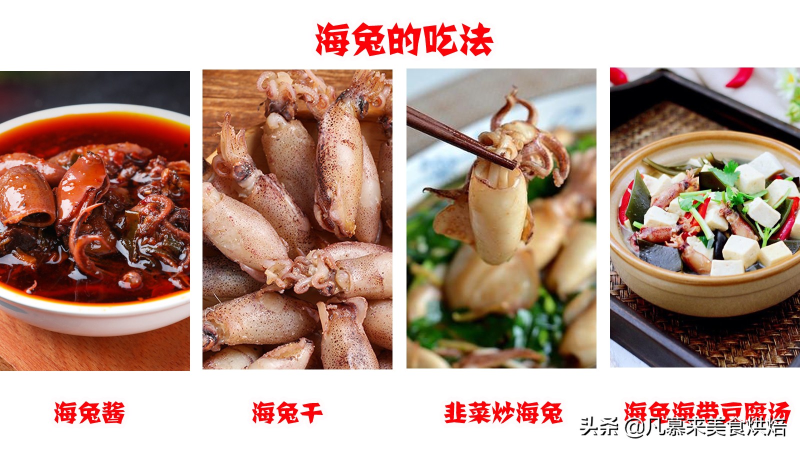 海兔八爪鱼墨鱼鱿鱼的区别,鱿鱼海兔八爪鱼三者之间区别