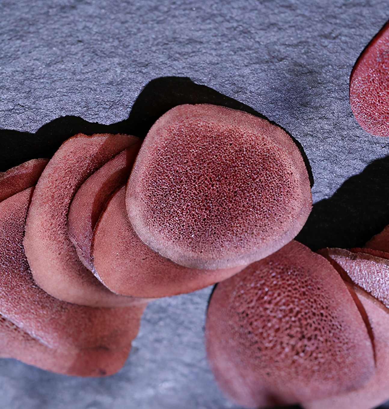 鹿茸片你买对了吗？学习一下再下手吧