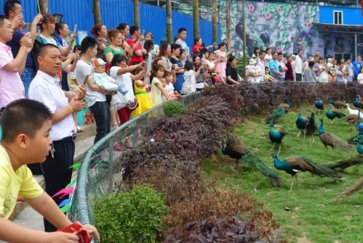 重庆股份转让中心在哪呢,重庆股份转让中心是什么