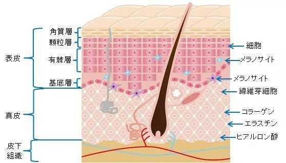 日本欧美韩国哪个护肤品好,日本韩国欧美护肤品怎么选