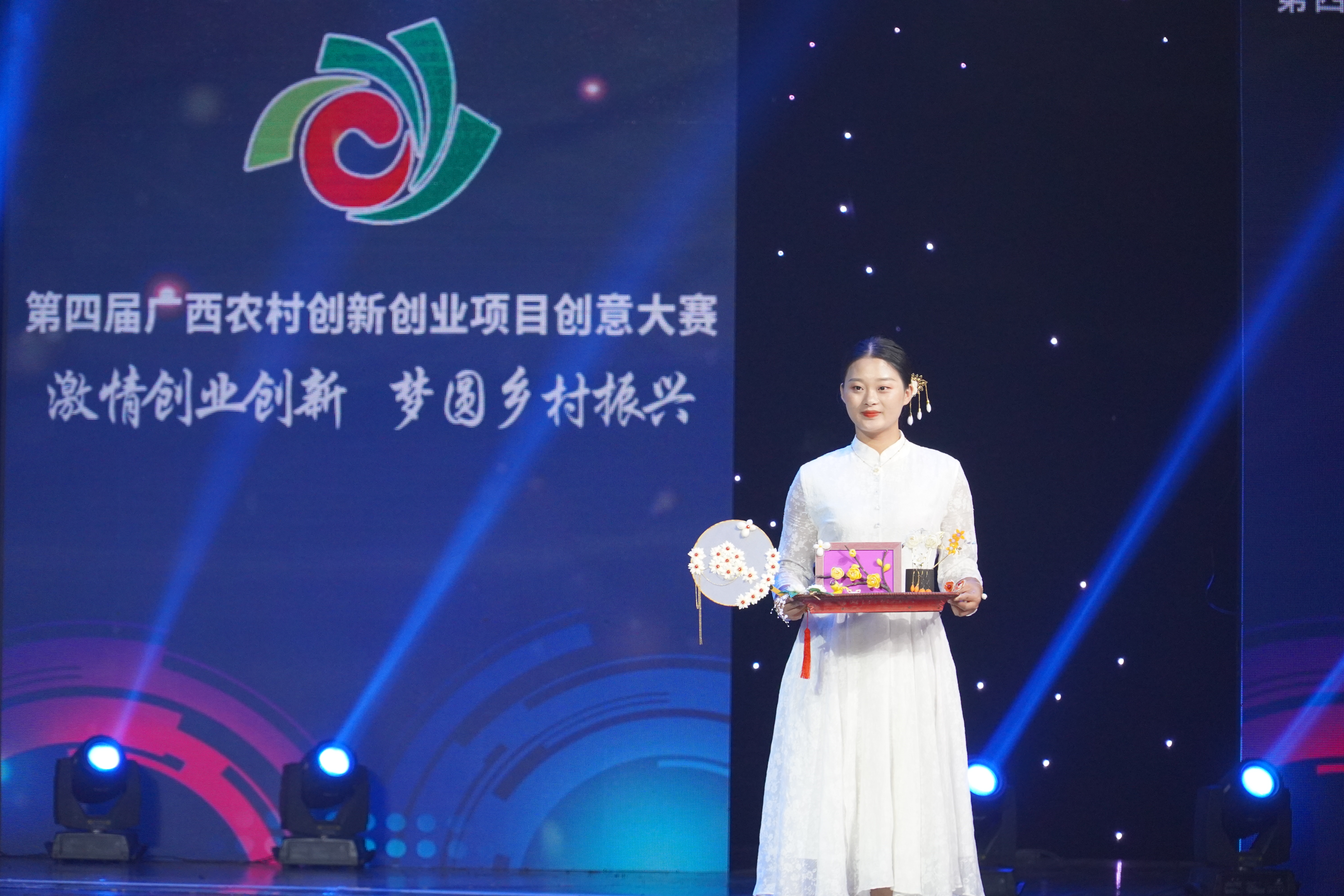 第二届广西农村创业项目,第二届广西农民创业大赛决赛