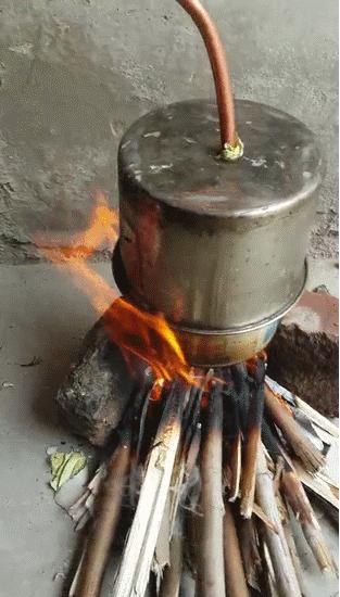 仙人掌在沙漠里是怎么生存下来的,在沙漠怎么才能活下来