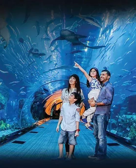 超大型购物中心未来业态,娱乐业态