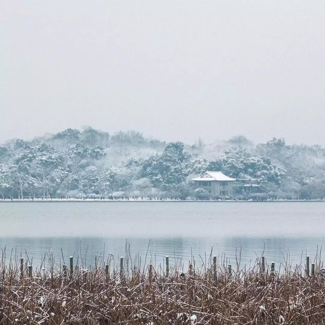 看腻了性冷淡的极简风,清冷系和性冷淡风