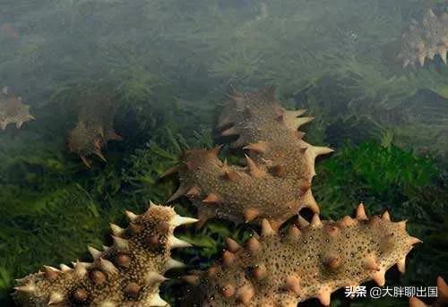 韩国签证最新政策,韩国签证申请攻略