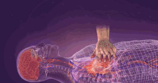 双人cpr心肺复苏术ppt,cpr心肺复苏标准操作流程