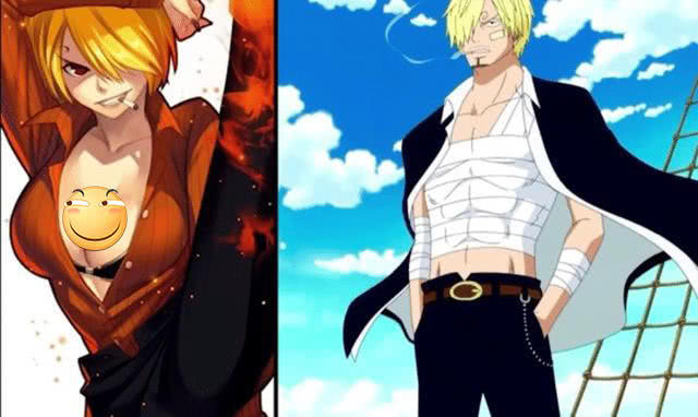 海贼王角色性别转换,海贼王角色变美女