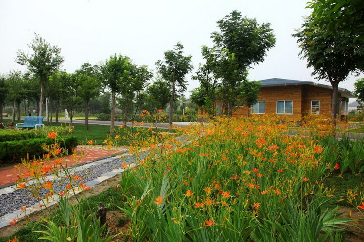 郑州五一近郊游的好地方,不出郑州就能游玩的地方