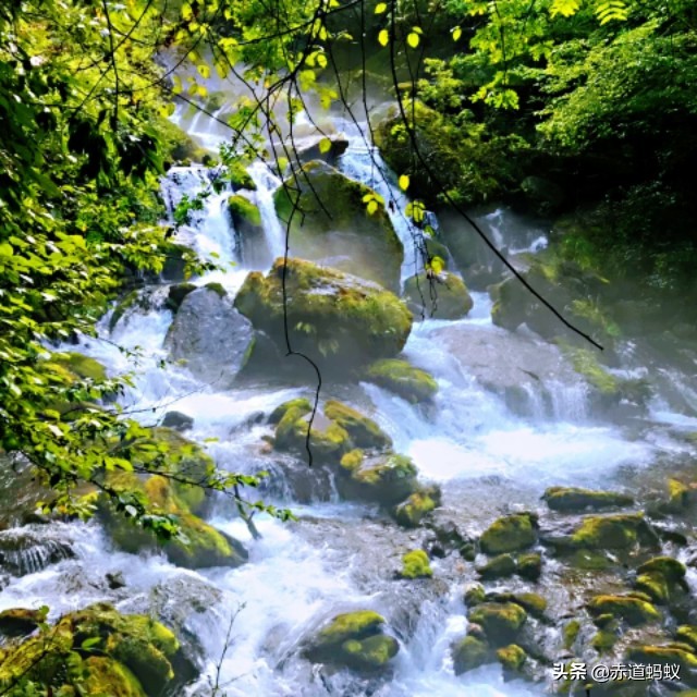 神农架3天攻略,神农架详细讲解