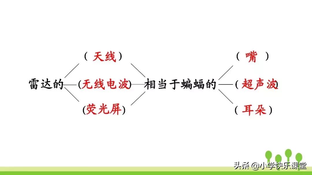 四年级上册语文蝙蝠和雷达课后题,部编版四年级上册语文蝙蝠和雷达