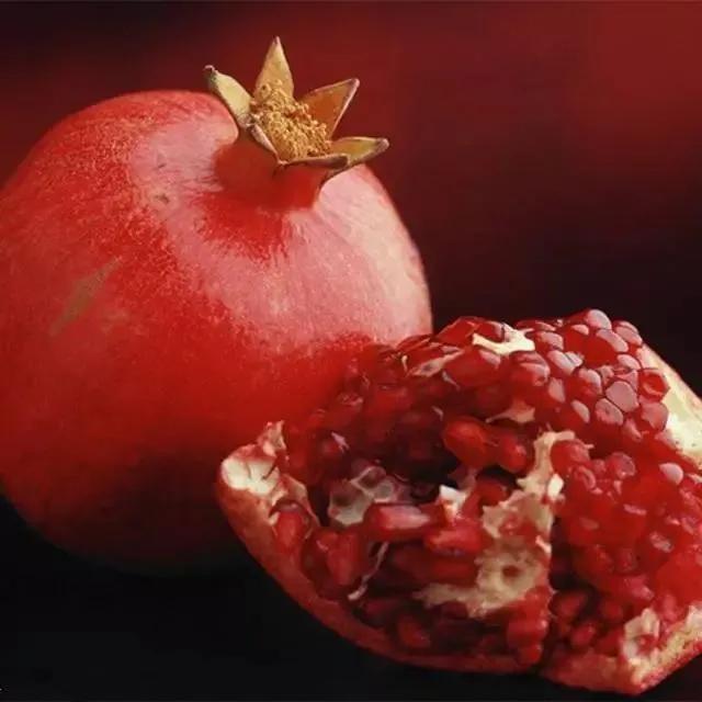 红色宝石树图片,红色宝石