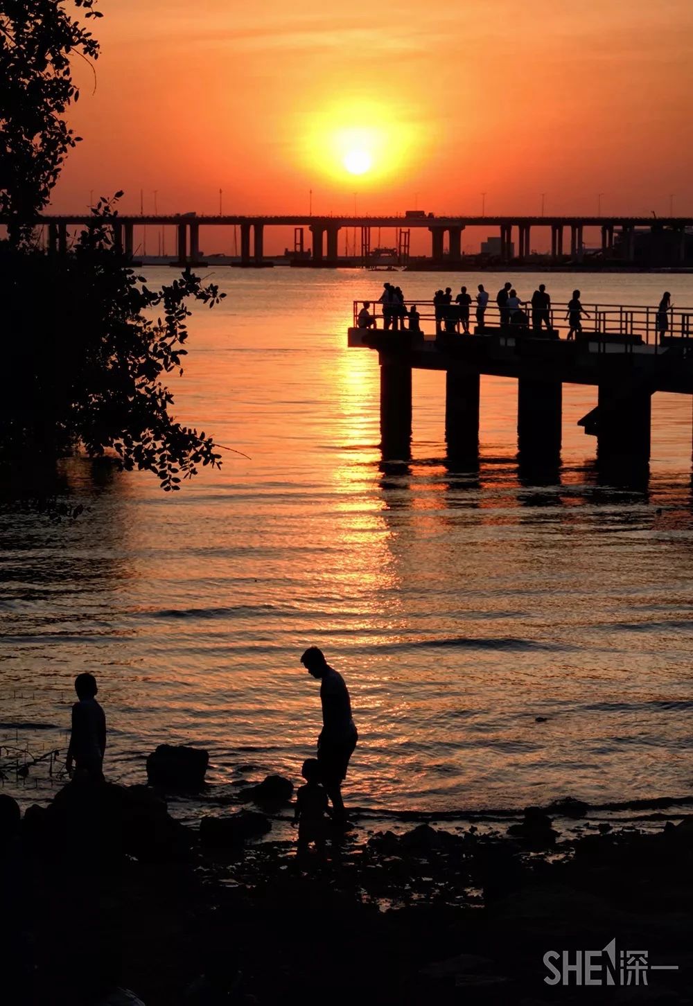 深圳好玩的地方推荐地铁4号线,深圳4号线值得玩的地方