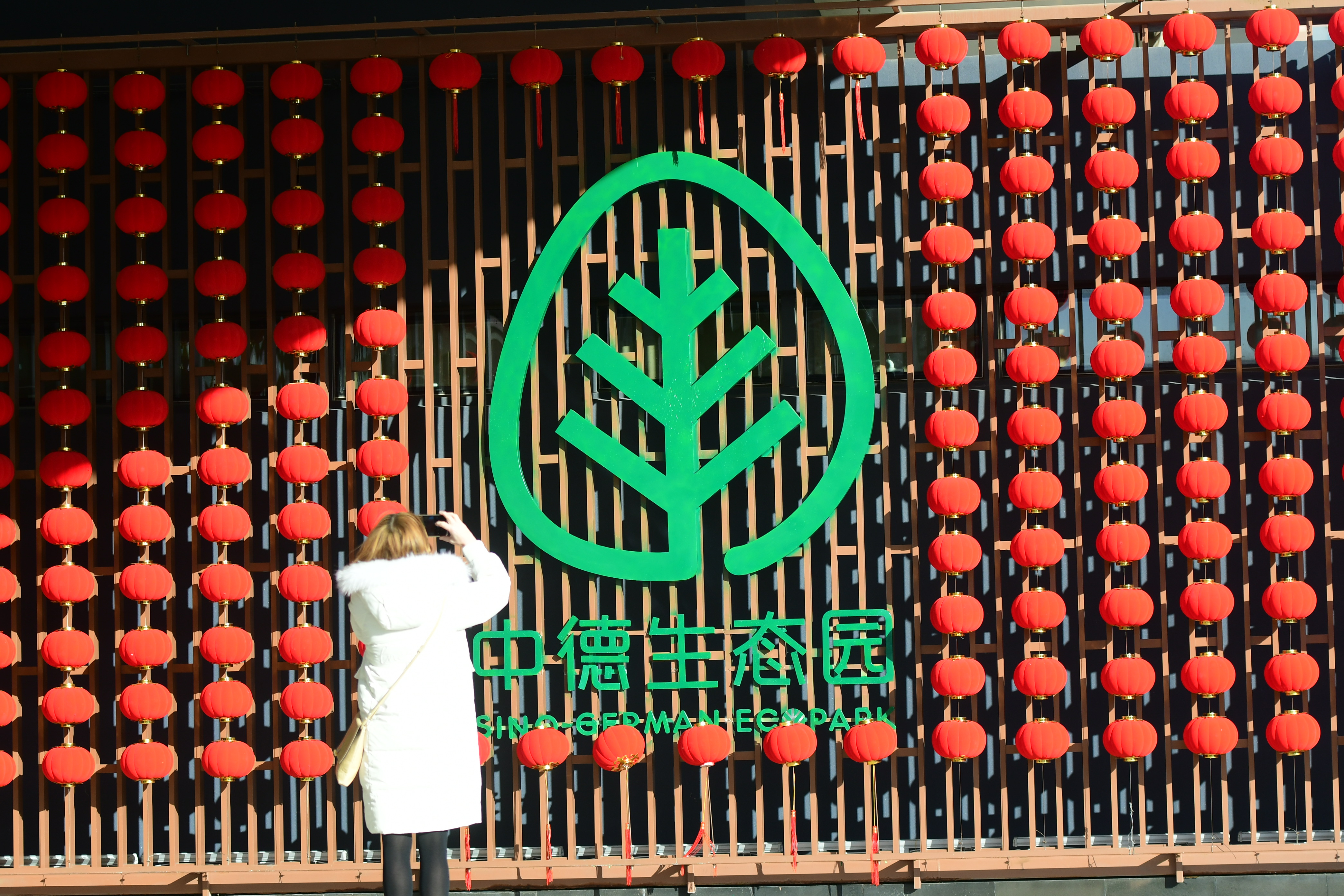 客从德国来“青”睐西海岸