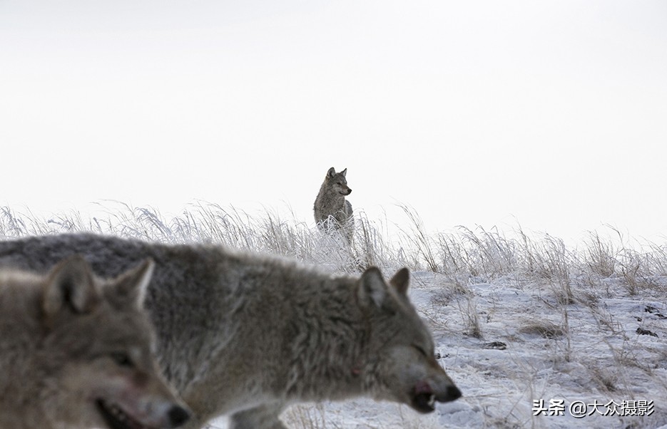八种基本构图技巧,学会这九个实用构图技巧