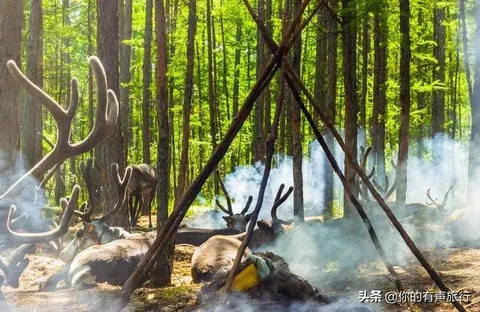 来到这里才知道，天堂应是绿色的模样