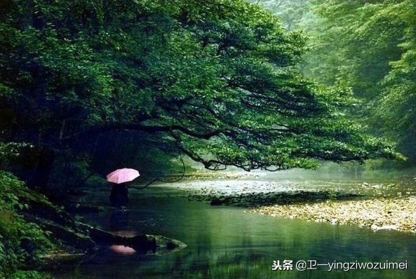 长沙到张家界旅游攻略自由行,长沙到张家界房车自驾游