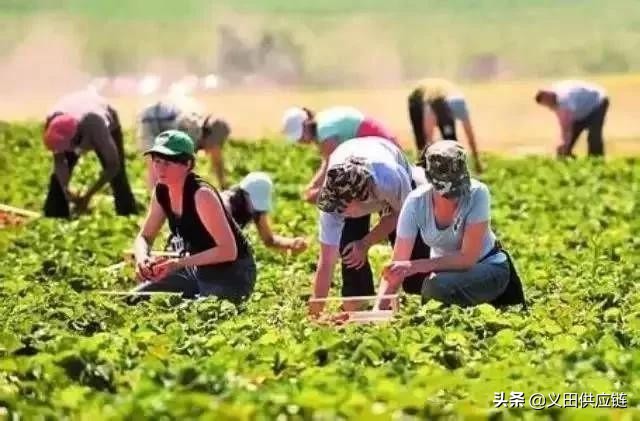 休闲农业如何开展渠道营销活动,互联网农业模式下农产品营销策略