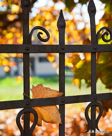 想要有孩子就必须得干了一件事,要想孩子聪明就要做这几件事