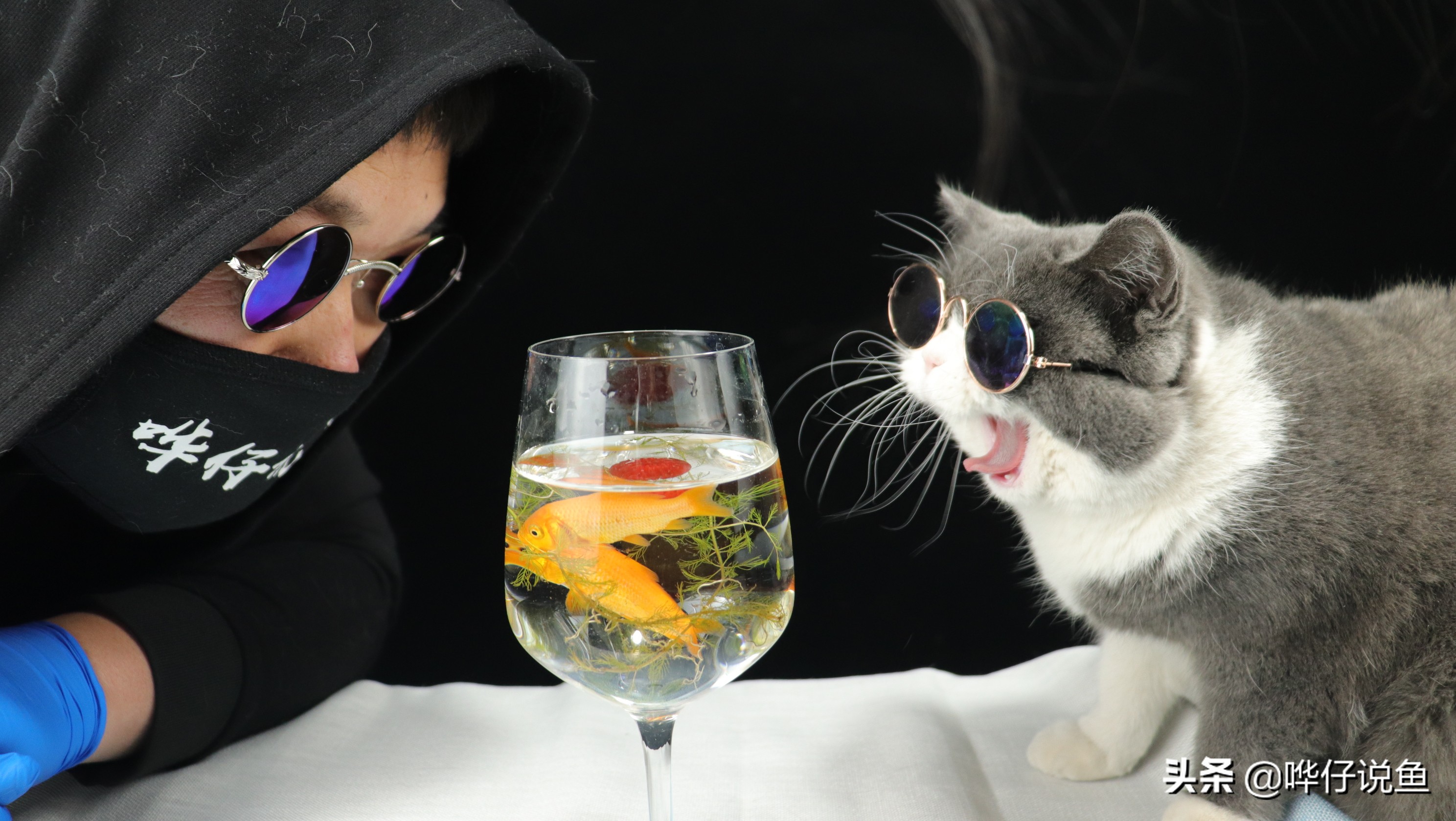 鱼缸长藻类是好事还是坏事,鱼缸长藻怎么处置