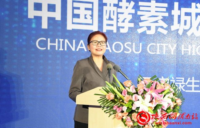 中国酵素城起航,中国酵素城座谈会