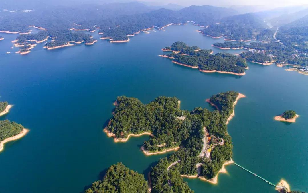 广州味道,广州味道的美食