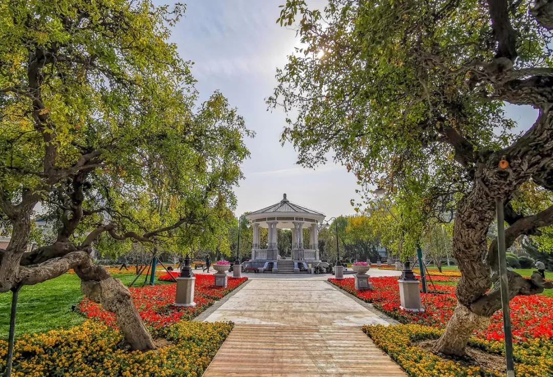 天津2022哪些公园恢复开放,天津水西公园现在恢复开放了吗