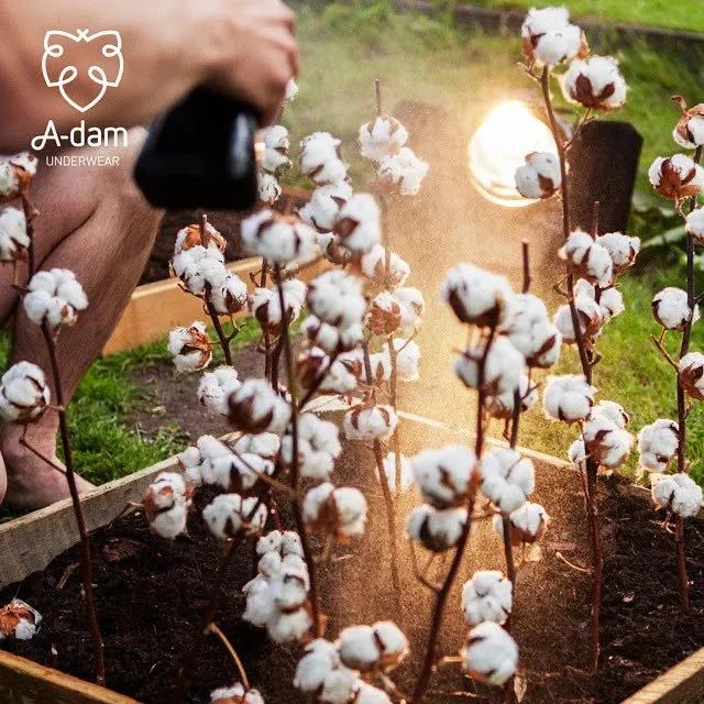 章小蕙推荐的小物件,章小蕙同款护发好物