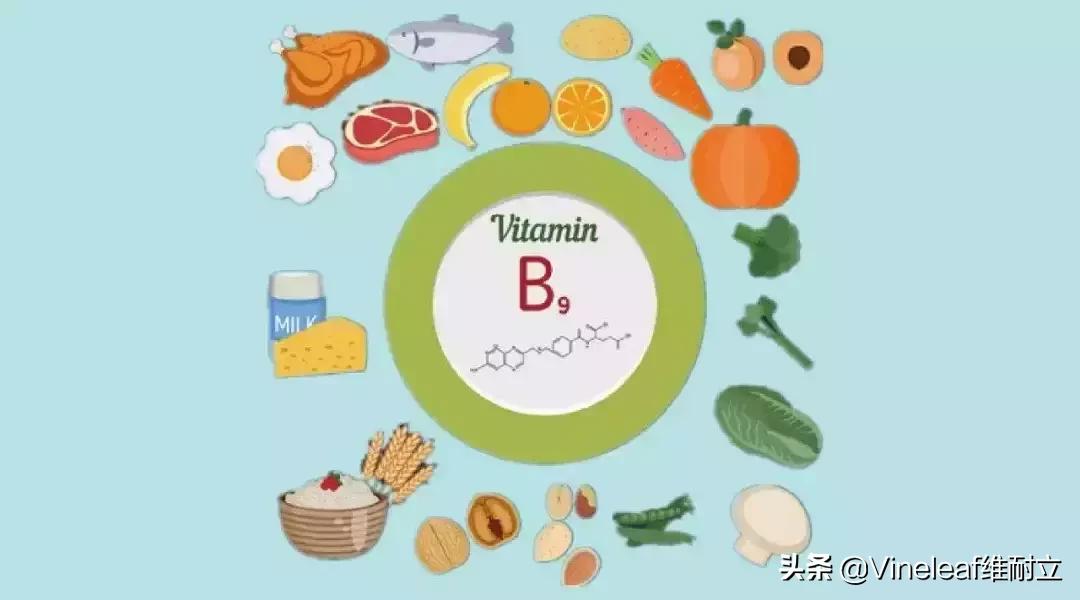 补叶酸吃什么东西呢,叶酸如何服用及注意事项