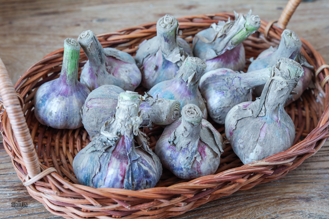 腌糖蒜有最简单最好吃的方法吗,最简单又好吃的腌糖蒜方法