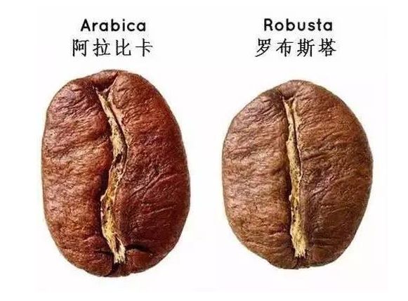 雀巢胶囊怎么样,雀巢胶囊效果好吗