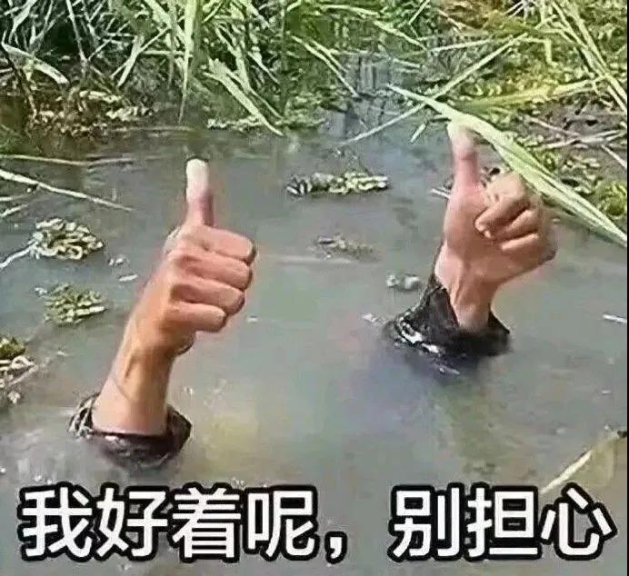 大一新生军训总结200-300字,军训干货冷知识