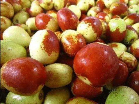 江西十大名水果,江西的十大水果