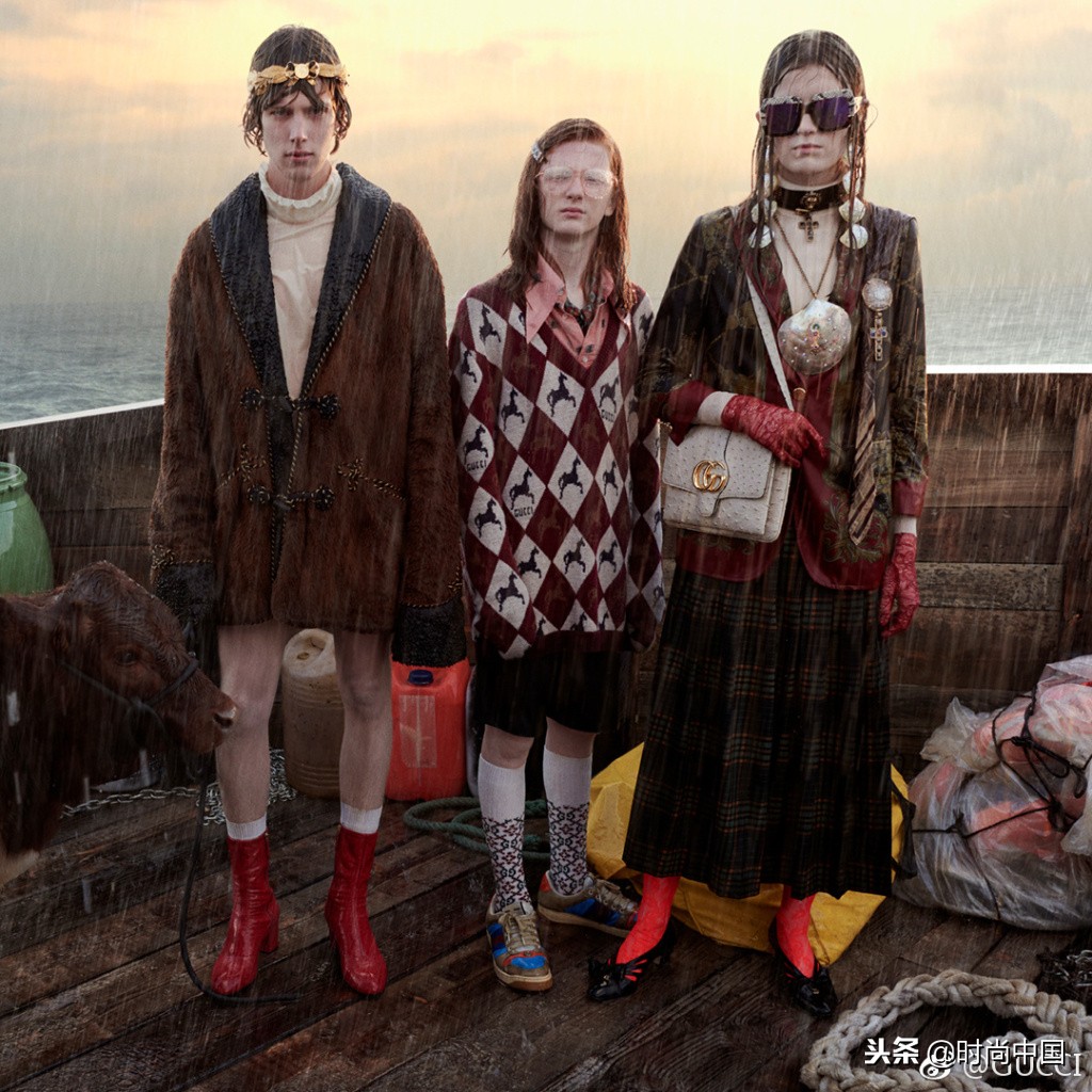 倪妮同款小猫咪,倪妮李宇春奇妙的动物