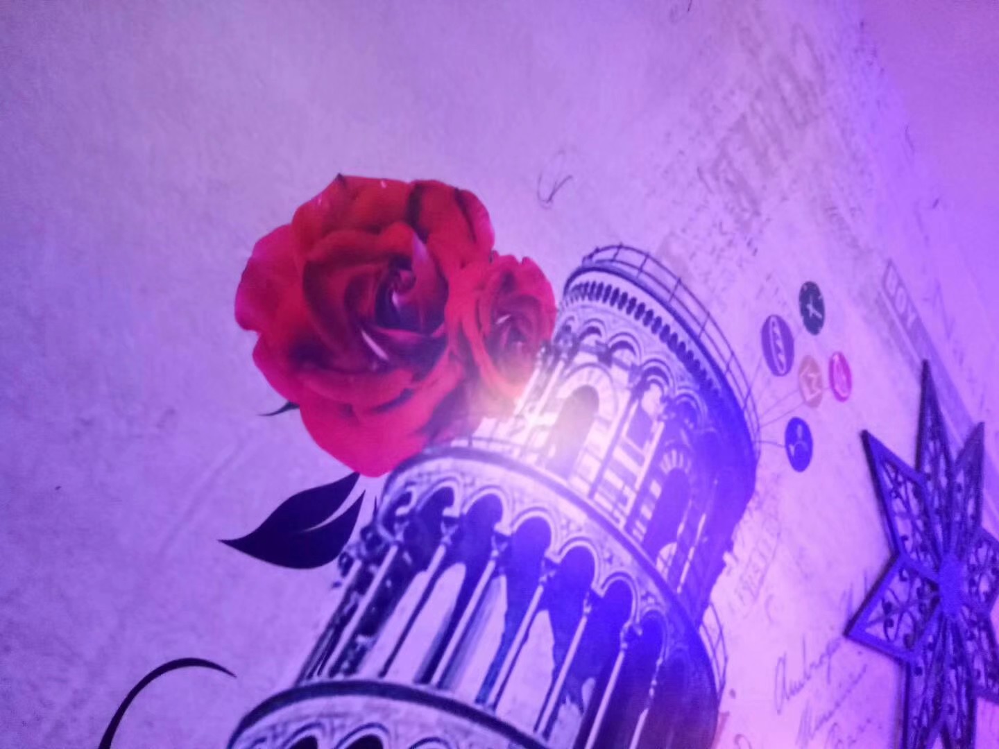 被网红啪啪打脸！你到底能做什么