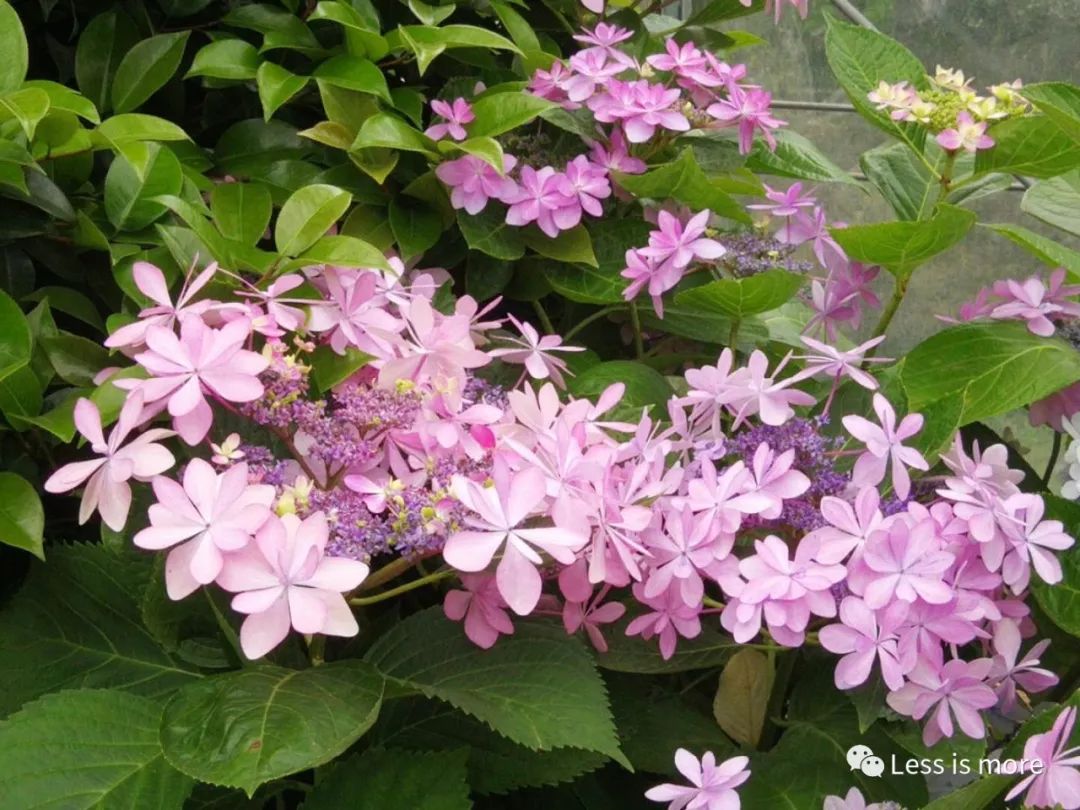 韩国济州岛五天攻略,韩国济州岛旅游详细攻略