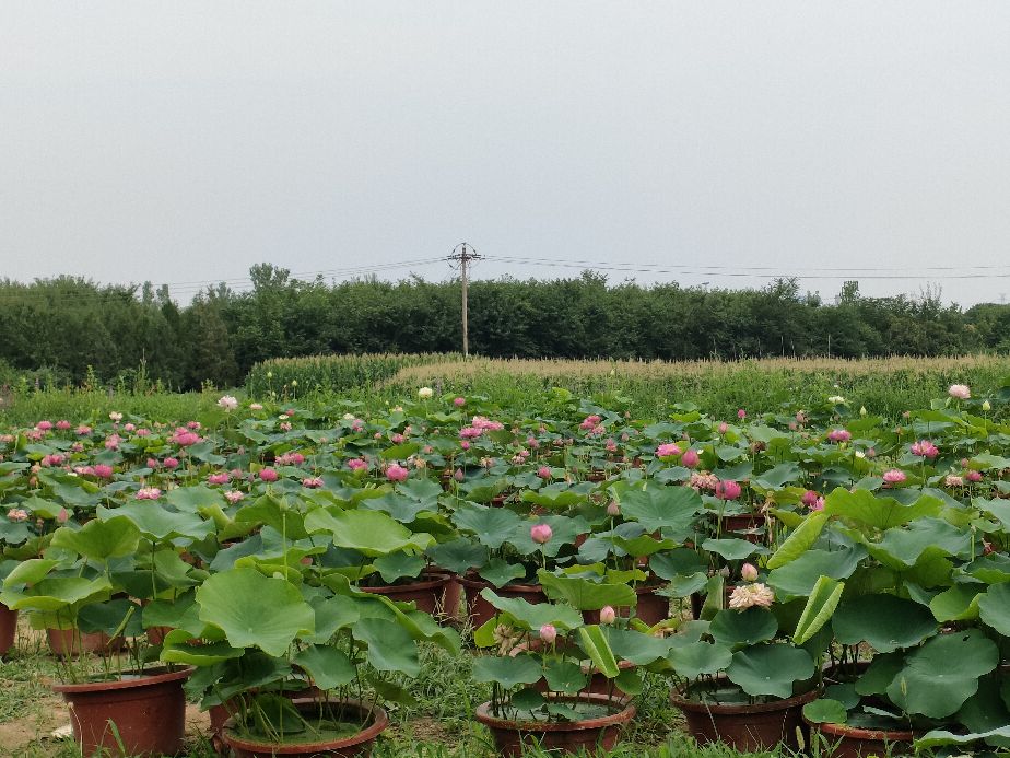 因过竹院逢僧话偷得浮生半日闲,偷得浮生半日闲下一句什么意思