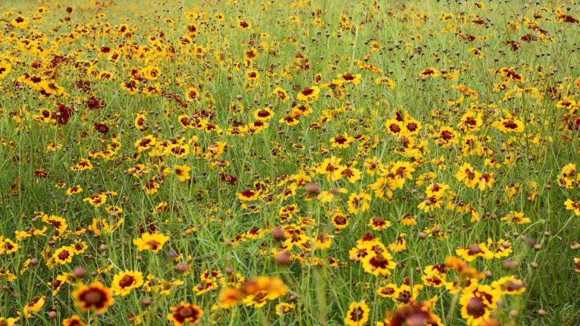 心理学丨太害怕死亡？这么做，可以让你坦然面对它