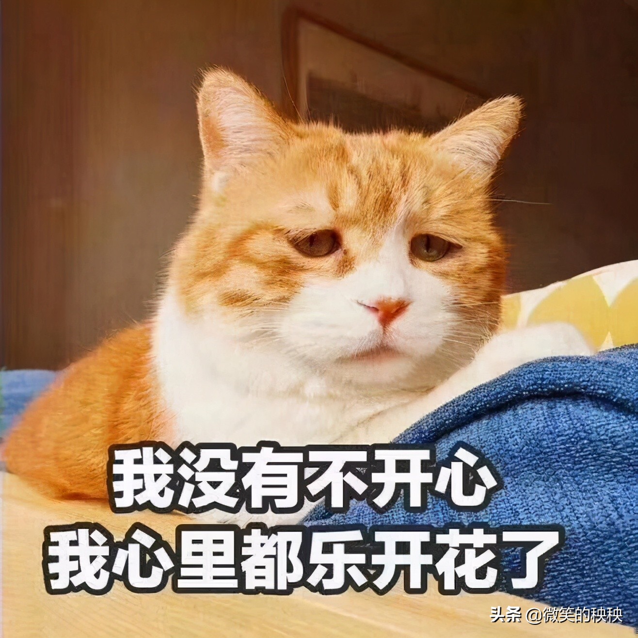 10年战痘博主教你成功战痘,战痘十年的感悟