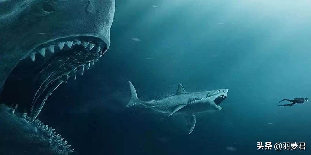 鬼吹灯里的分金定术,鬼吹灯搬山秘技