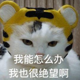 脱毛好物推荐,超平价脱毛推荐